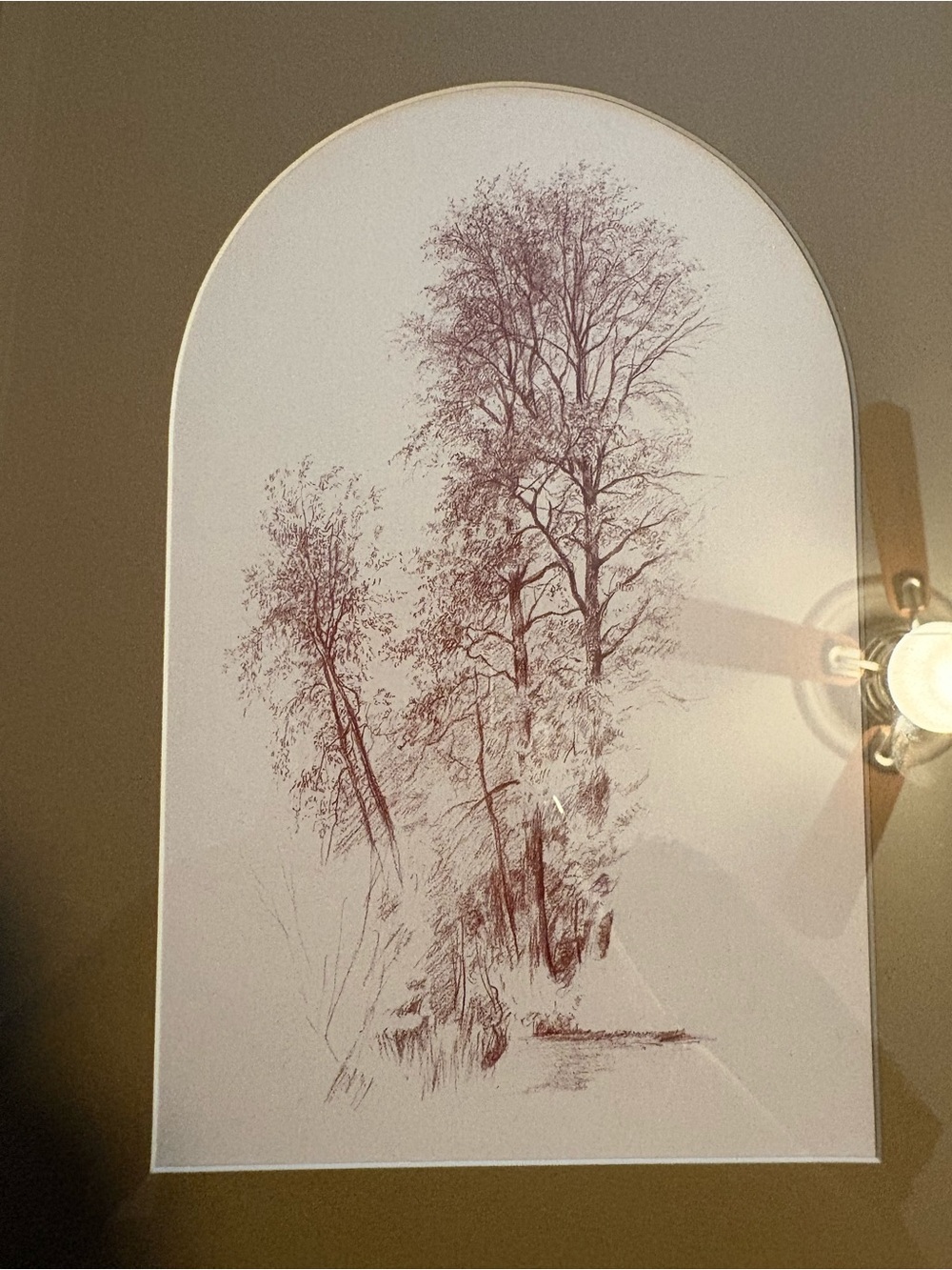 Framed Botanical Sketch Wall Art in Black Frame - Picture 2 of 5